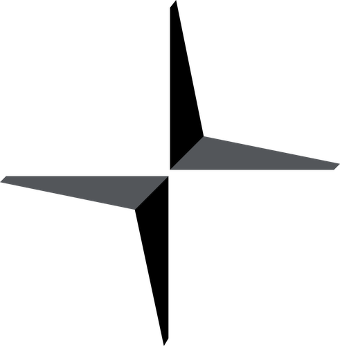 Default logo of polestar